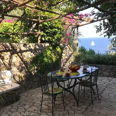 Il Carrubo Blu