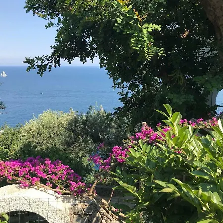 Villa Il Carrubo Blu Conca dei Marini