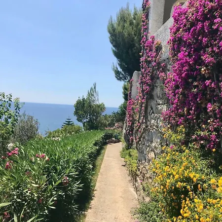 Il Carrubo Blu
