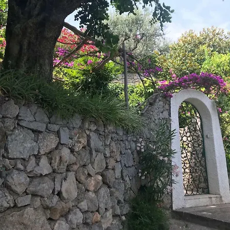 Il Carrubo Blu Villa *