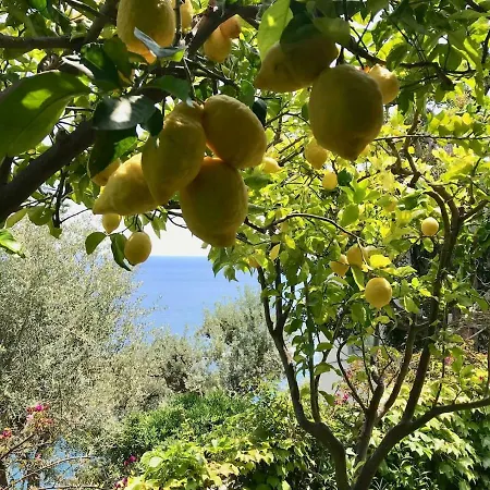 Villa Il Carrubo Blu *
