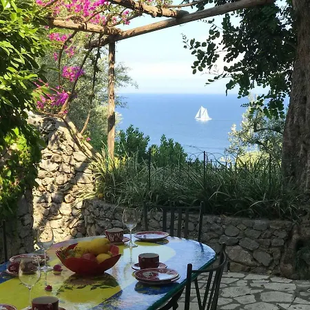 Il Carrubo Blu *