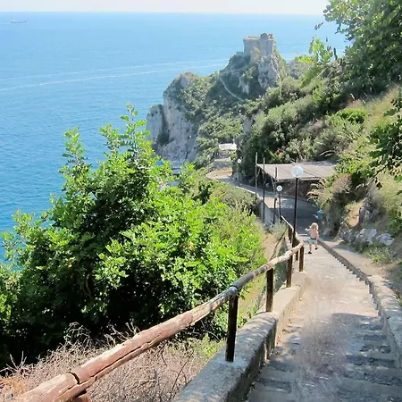 Il Carrubo Blu *